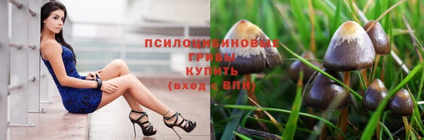 Альфа ПВП Баксан