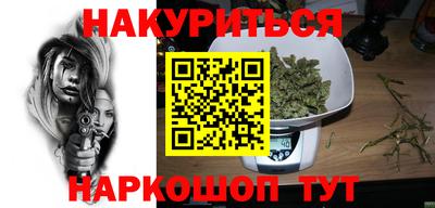 стаф Можга