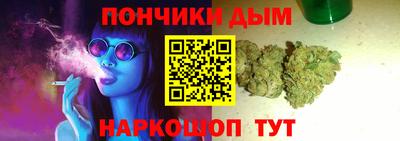 стаф Можга