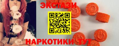 стаф Можга