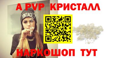 стаф Можга