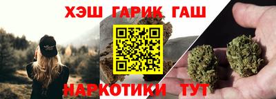 стаф Можга