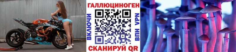 Галлюциногенные грибы Magic Shrooms  Черняховск 