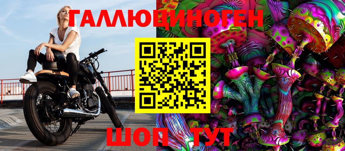Черняховск  Галлюциногенные грибы MAGIC MUSHROOMS  Вход с VPN 