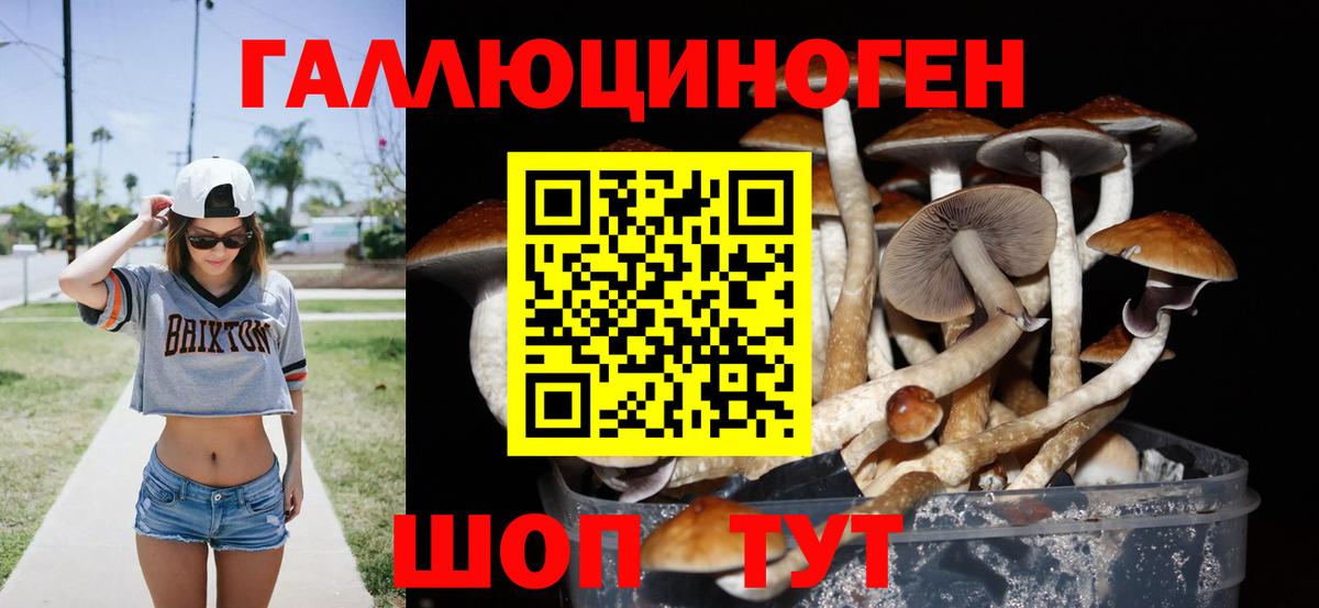 Галлюциногенные грибы MAGIC MUSHROOMS Черняховск
